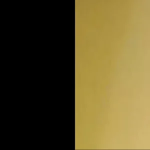 schwarz+gold