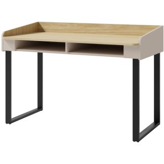 Schreibtisch mit 2 offene Regale ALEX